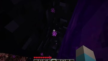 Minecraft Alpha 1.20 Nether Dupe Glitch