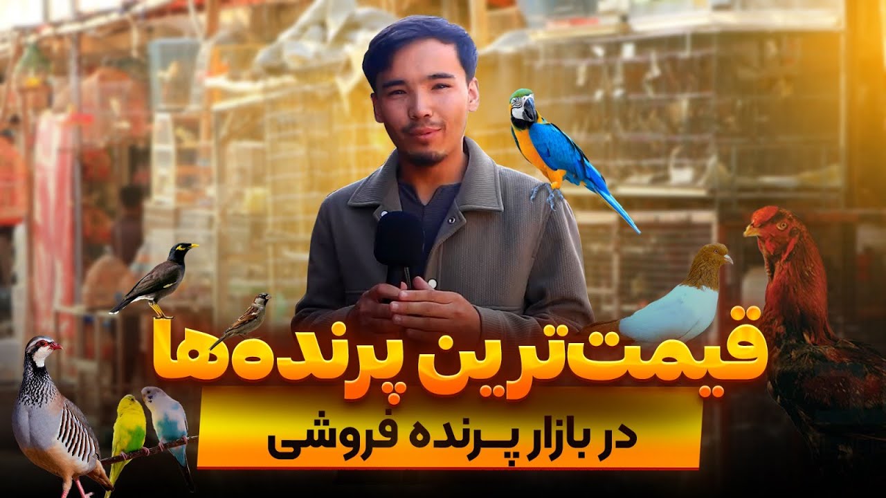 کوچه پرنده‌ها- مزارشریف