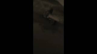 MuRaVeY Drift 2016 #1