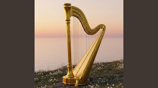 The Silence Of Driftwood Stars