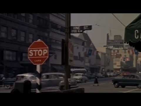 Pro Drum Shop's 50 Years - 2 Min. Trailer
