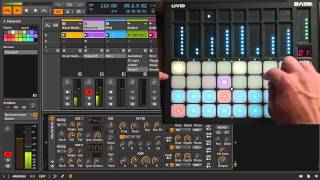 Bitwig Studio with Livid BASE midi controller