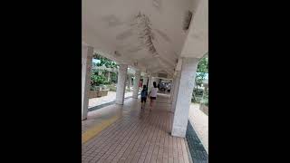 A walk in Yiu Tung Estate