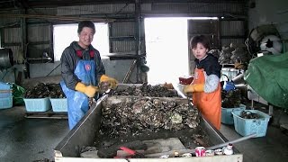 宮城県南三陸町の漁村・波伝谷の震災前の日常を追ったドキュメンタリー！映画『波伝谷に生きる人びと』予告編