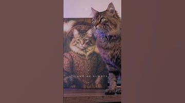 eufyMake E1 Masking Tape? UV Printing? #velfcreations