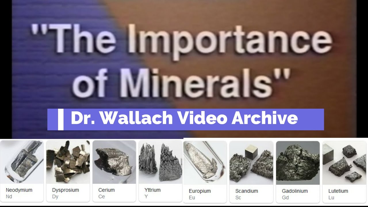 Let's Talk Minerals - Dr. Wallach Video Archive