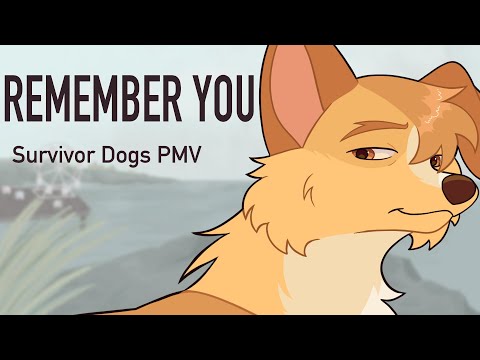 Remember You - Survivor Dogs PMV