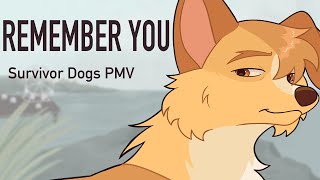 Remember You - Survivor Dogs PMV