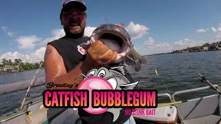 44.5lbs Blue cat during the 2017 Total Eclipse