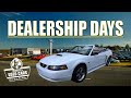 Dealership Days - Rabbit's Used Cars