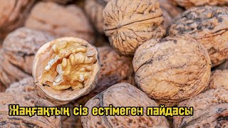 Жаңғақтың ешкім естімеген пайдасы. Адам денсаулығына әсері