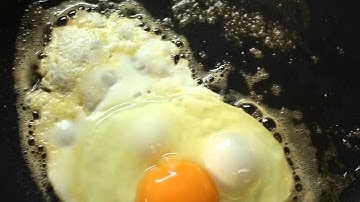 Dexter - Morning routine (Recreation)