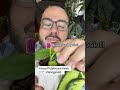 Hoya Polyneura Inner Variegated. New Growth Update - #HoyaPlant #HoyaCollection #HousePlant #Hoya