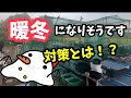 暖冬のデメリットあり！対策に準備するものとは！？【メダカ】
