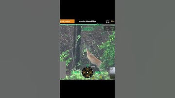 Bucks on our property  #deerscouting #g4outdoors #bowhunting #deer