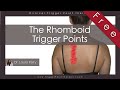 The Rhomboid Trigger Points (Free Full Video)