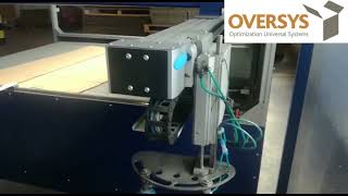 VIDEO OVERSYS U62430922 AUTOBOX HIPAK 2600 BOXMAKER WITH 1 PRINTER -
