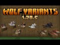 Minecraft 1.20.5: WOLF VARIANTS ARE FINALLY HERE!! - Snapshot 24w10a