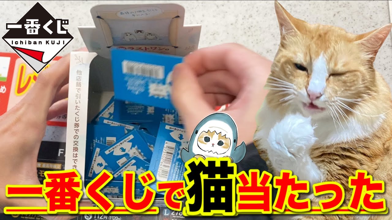 【一番くじ】モフサンド！猫がまさかの賞に？上位賞当たるまで引いたら、、｜一番くじ、一番賞、猫ミーム