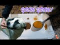 🐾🍽️ Snack de colágeno / Gomita de patitas de pollo / Receta sana para nuestros perros 🦮🐶
