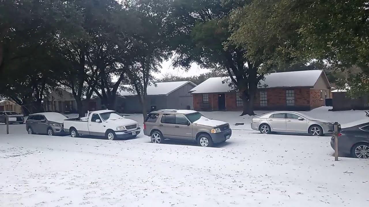 Техасская метель 2026