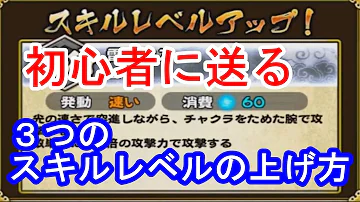 ナルコレ スキルレベル