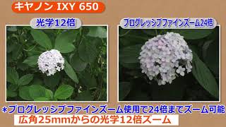 キヤノン IXY 650 （カメラのキタムラ動画_Canon）