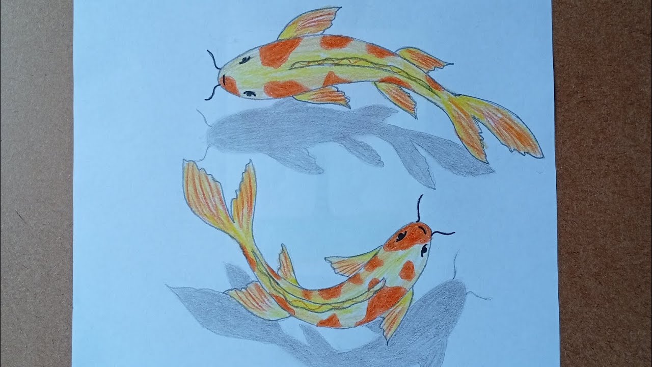 How to draw 3D fish step by step#art#drawing #foryou - YouTube