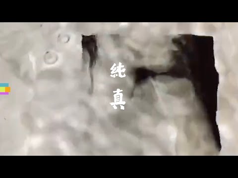 HAKUCHI Exhibition Trailer : : 純真 Innocent (2019 in Beijing)