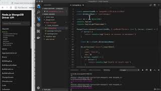 The ObjectID [The Complete Node.js Developer Course (3rd Edition) 2021]