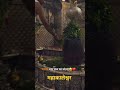 महाकालेश्वर उज्जैन #viralreels #trending #tredingshorts #mahakaleshwar #ujjain