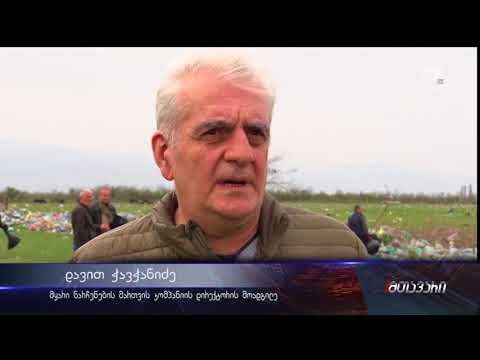 ქუთაისში დასუფთავების აქცია მოეწყო