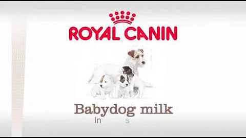 Comment joindre Royal Canin ?