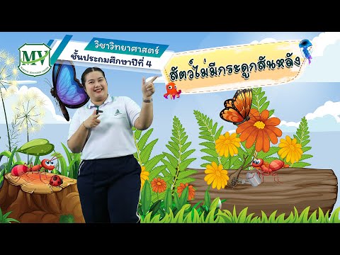 วิทยาศาตร์ ป.4 | เรื่องสัตว์ไม่มีกระดูกสันหลัง ตอนที่ 1