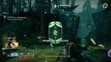 Primevil Melt in Gambit Destiny 2 with chaos reach