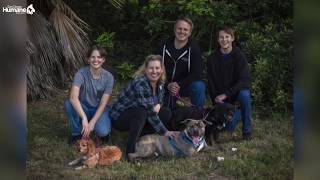 San Diego Humane Society Launches Innovative Adoption Process