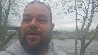 Ct river shad fishing holyoke Massachusetts