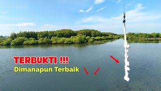 Gacor Mancing Belanak Dari Atas Tembok, Strike Bertubi-Tubi Umpan Tepung
