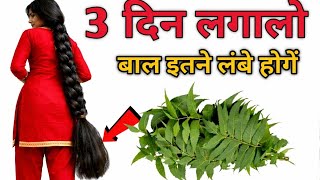 इन पत्तों को पानी में उबाल कर बाल धोलो बाल इतने लंबे हो जायेंगे की कटवाने पड़ेंगे|Secret Hair Growth