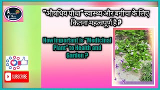 #short#Gardening Tips Techniques & Medicinal Plant at Home# Garden Ideas Care & Garden Tour