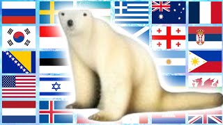 Polar Bear 2026 in 70 Languages Meme