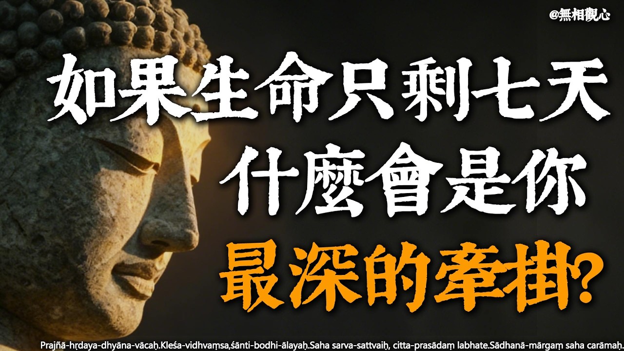 向死而生的七日功課：以佛法智慧「了緣」，解開最深層的生命掛礙#佛學智慧 #修行 #心靈修行 #當下修行 #生命意義