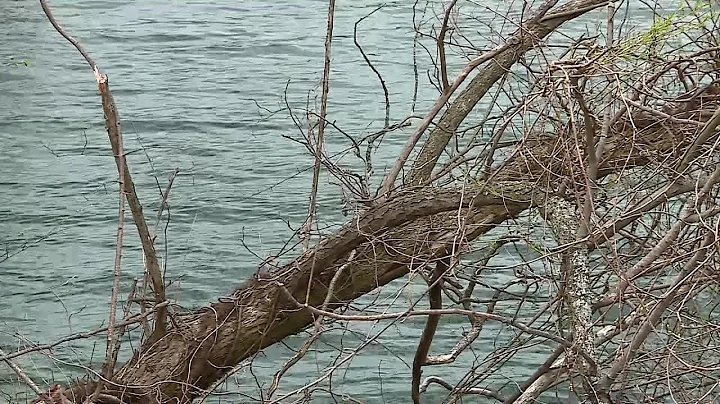 Video Now: Cranston Cold Case