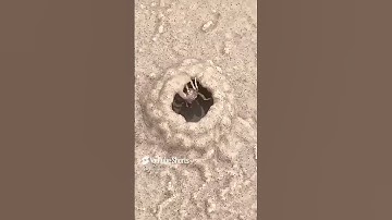 هَٰذَا خَلْقُ اللَّهِ #quran #الشيخ المنشاوي #المنشاوي #تلاوة خاشعة #قران كريم