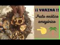 LA YARINA   ¡¡ Fruto exótico de la selva!! 🌴😀