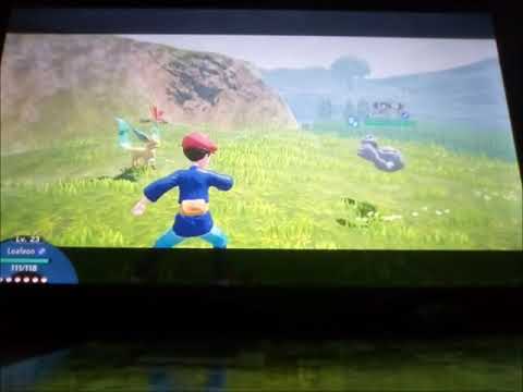 Pokémon Legends Arceus - 100% - Walkthrough - Space-Time Distortions Part 14