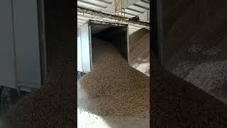 Descarga De Amêndoa