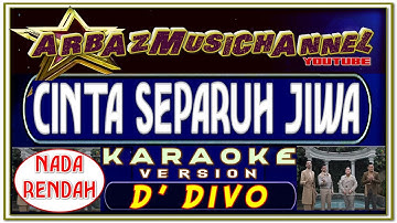 MUSIK KARAOKE | CINTA SEPARUH JIWA | NADA RENDAH | D