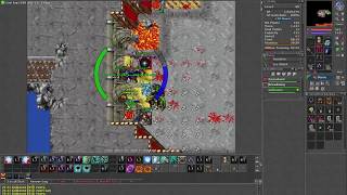 [Tibia] Mortal Kombat Belobra - MS 80 & RP 81