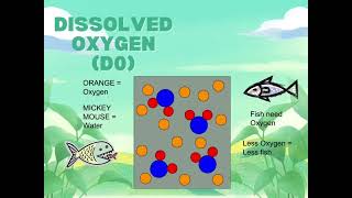 “Understanding Water Quality Standards: What You Need to Know”